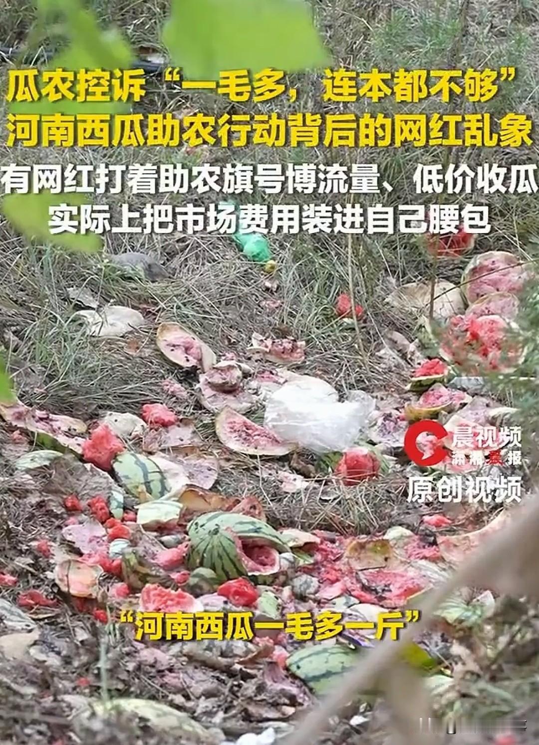 气炸了！“一毛五一斤？这哪是助农，这是把瓜农按在地上吸血！”网红转头直播间卖五块