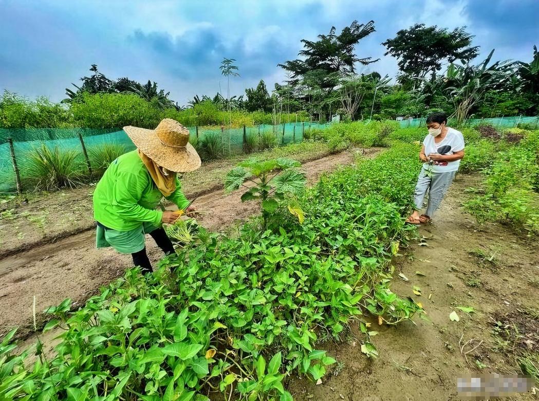 印度彻底睡不着了当地时间4月28日，不少海外化肥进口商表示，中国正在加强对化肥