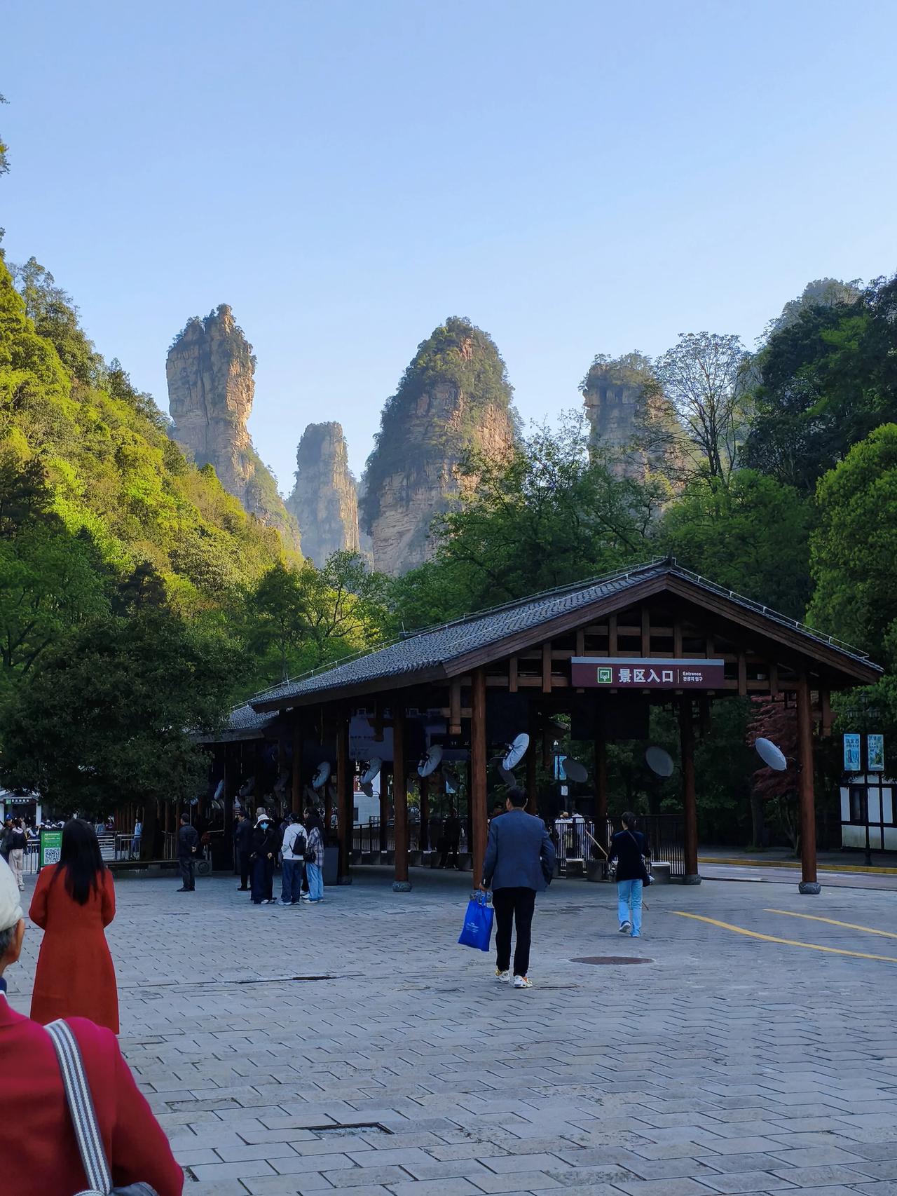 不到黄石寨，枉到张家界。今天早上，从张家界森林公园南门进入，游览黄石寨和金鞭