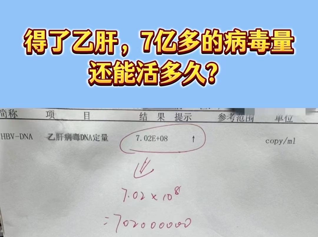 乙肝患者的寿命并不直接取决于病毒量的多少，而是与患者的治疗情况、身体状...