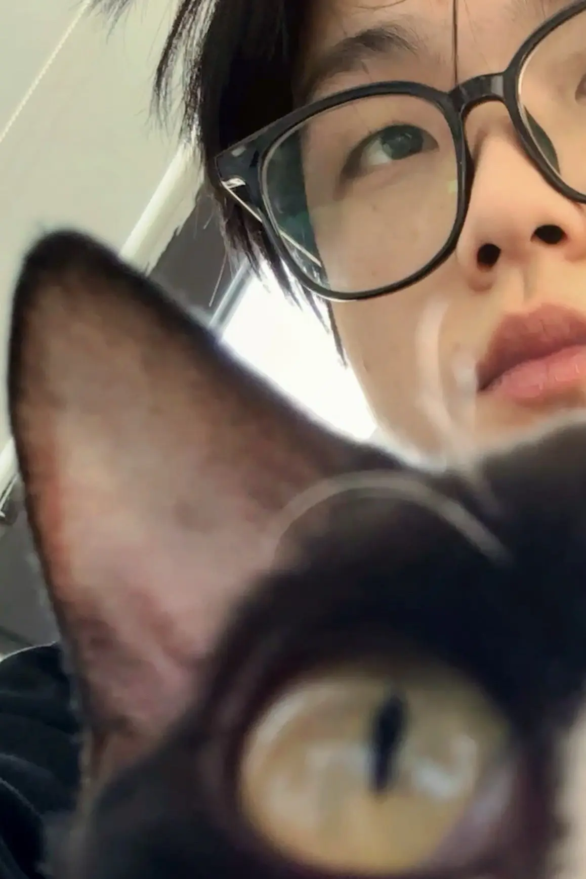 一半一半一段一段