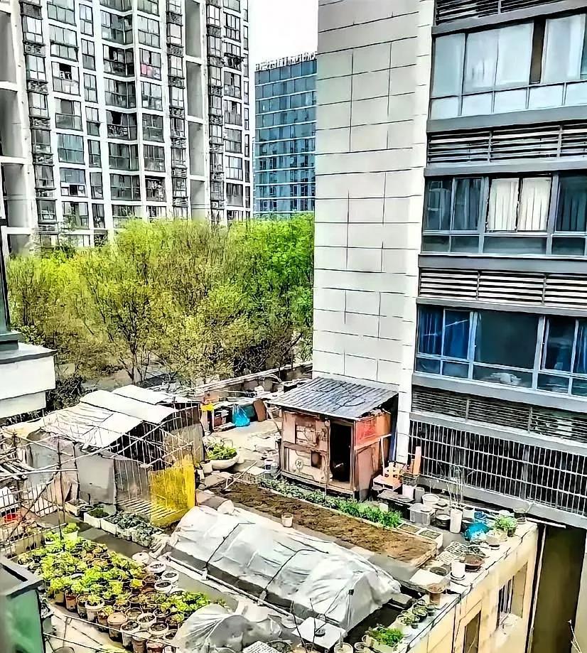 小区成这样了，物业有权管吗？
