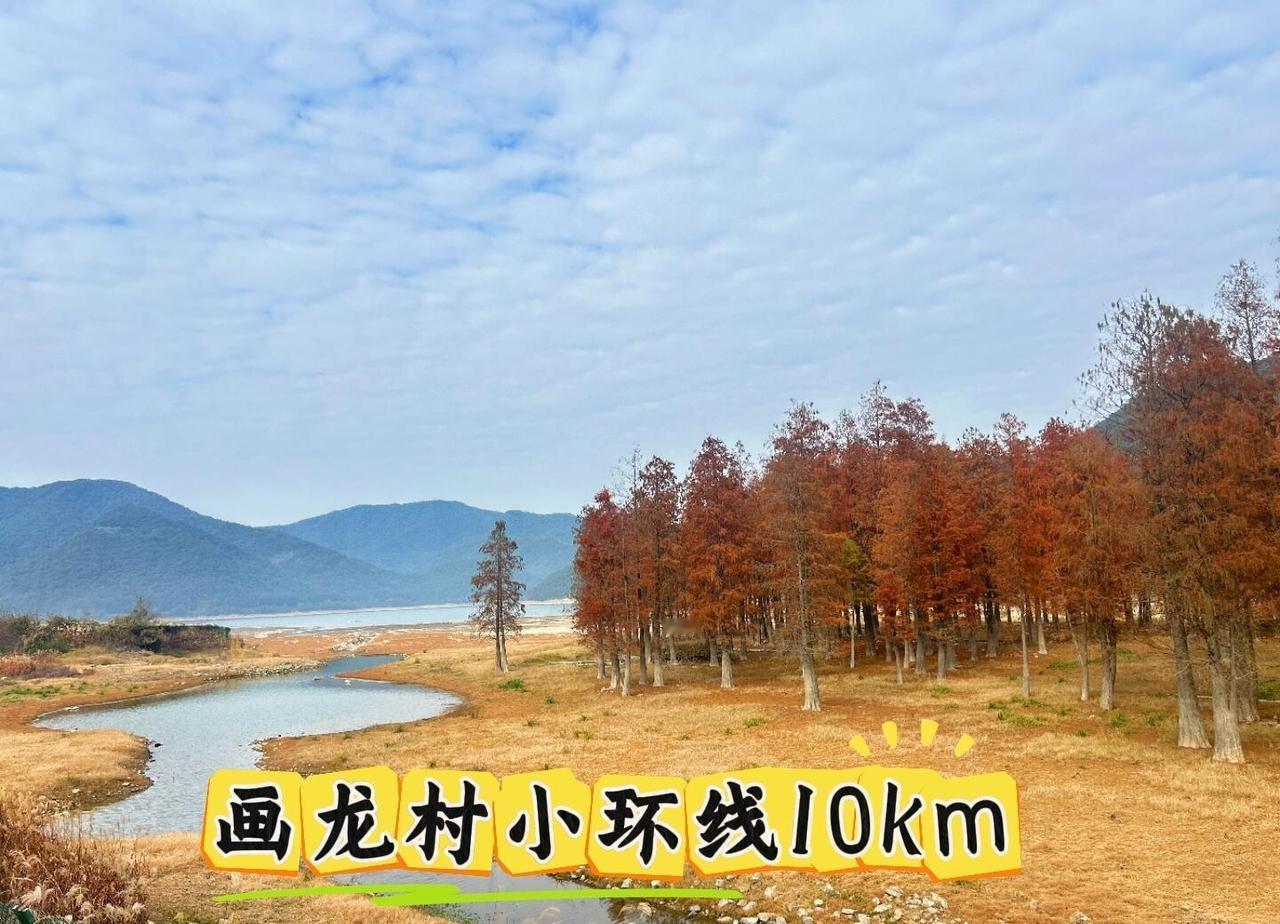 画龙村新玩法！咖啡馆观杉+10km绝美古道徒画龙村·硖石岭古道｜10km轻