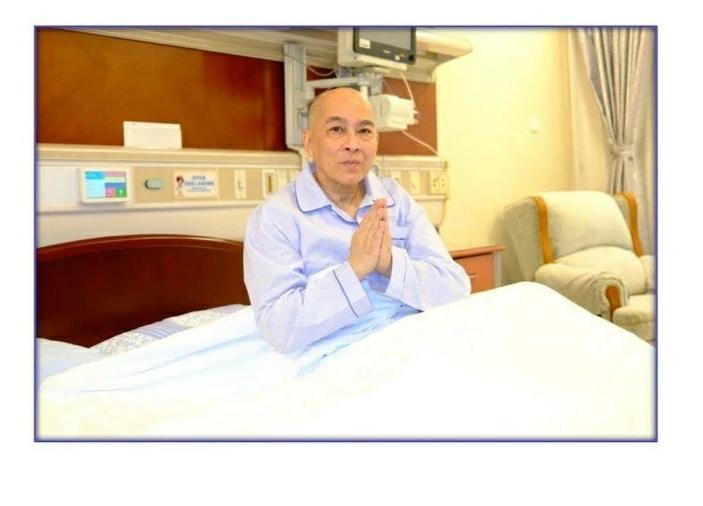 我怎么觉得坐在病床上的西哈莫尼国王都比正在演讲的欧尔班看着好看。西哈莫尼国王一