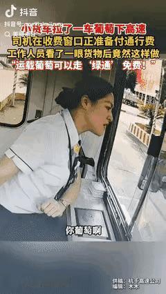 “浙江高速又火了!”浙江杭州,货车司机拉了一车葡萄进收费站,可是收费员却盯着他的