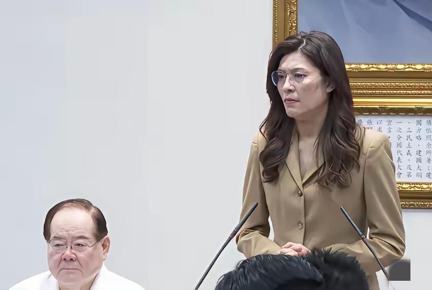 可以宣告国民党没戏了！蔡正元此生的愿望是国民党能“再执政一次”，并多次公开强调，