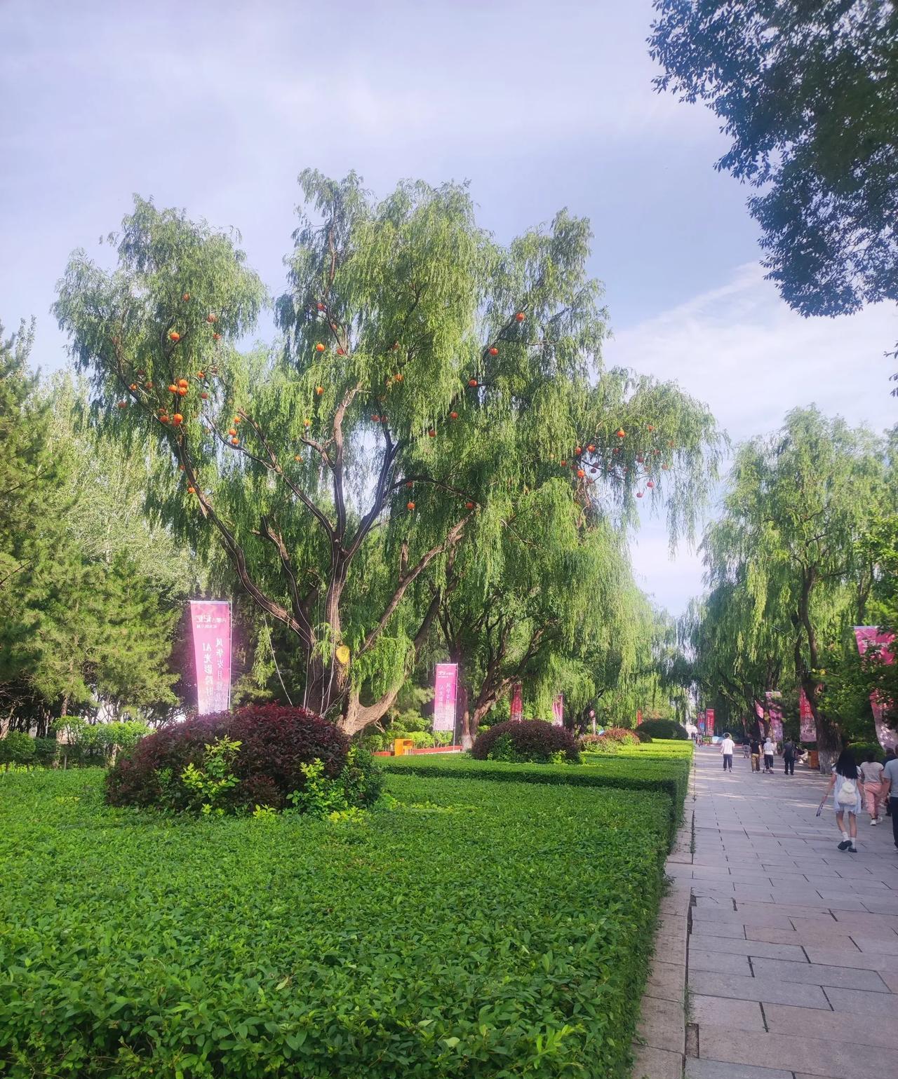 第一次夏天来内蒙呼和浩特，很多事情觉得很新奇。不知不觉中，呼市也有了自己的地铁