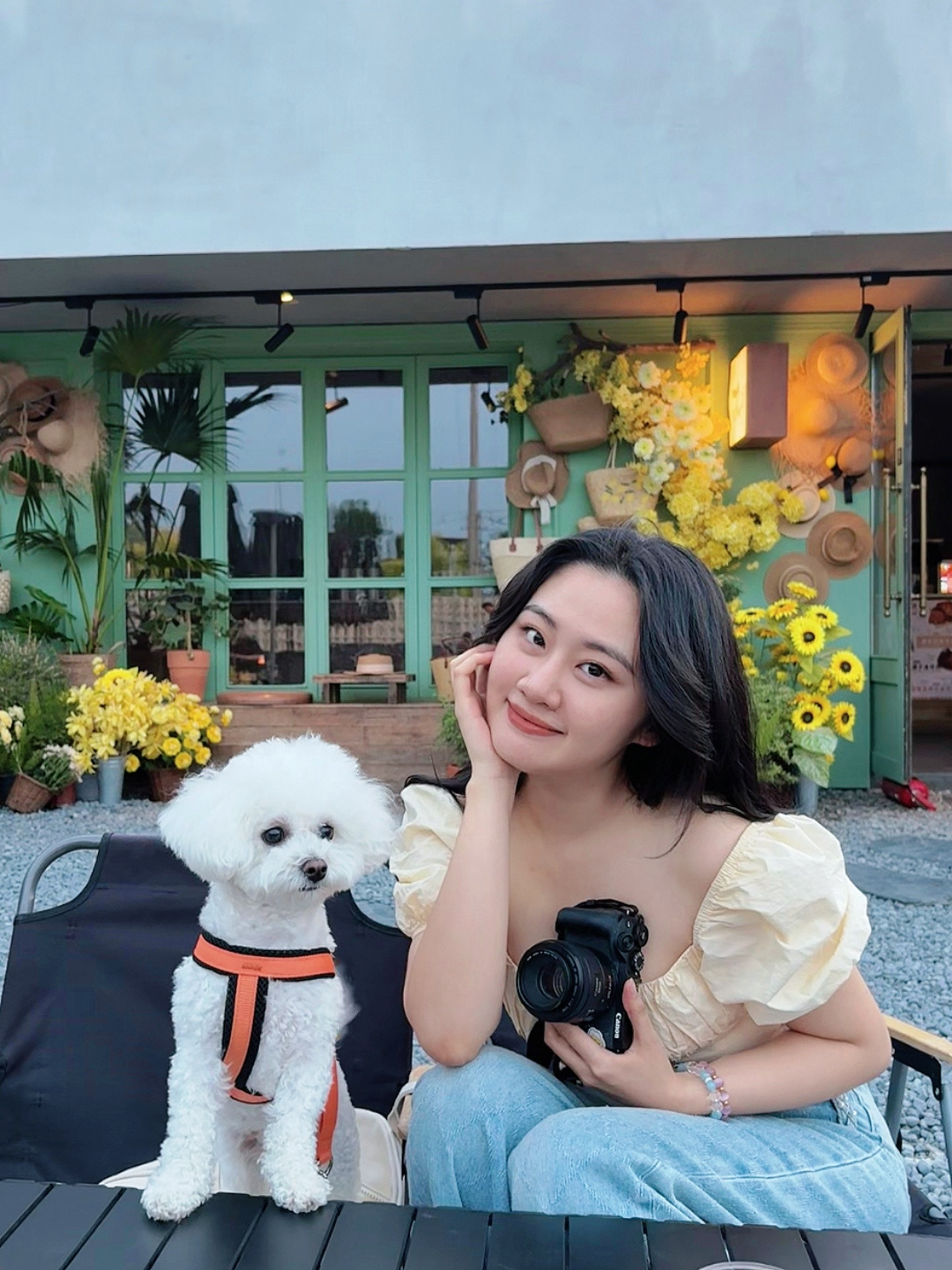 🐶🍋🌸北京