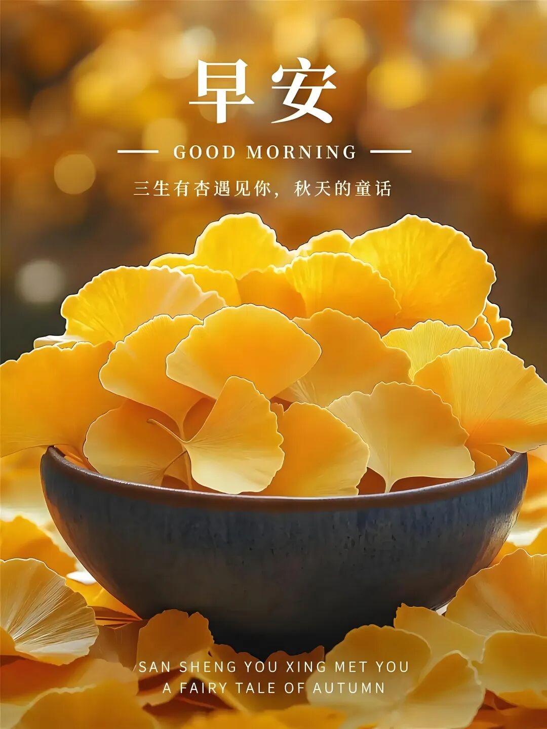 早安！努力是标配，快乐才是最闪亮的超能力！从今天起，重新定义努力：不是咬着牙