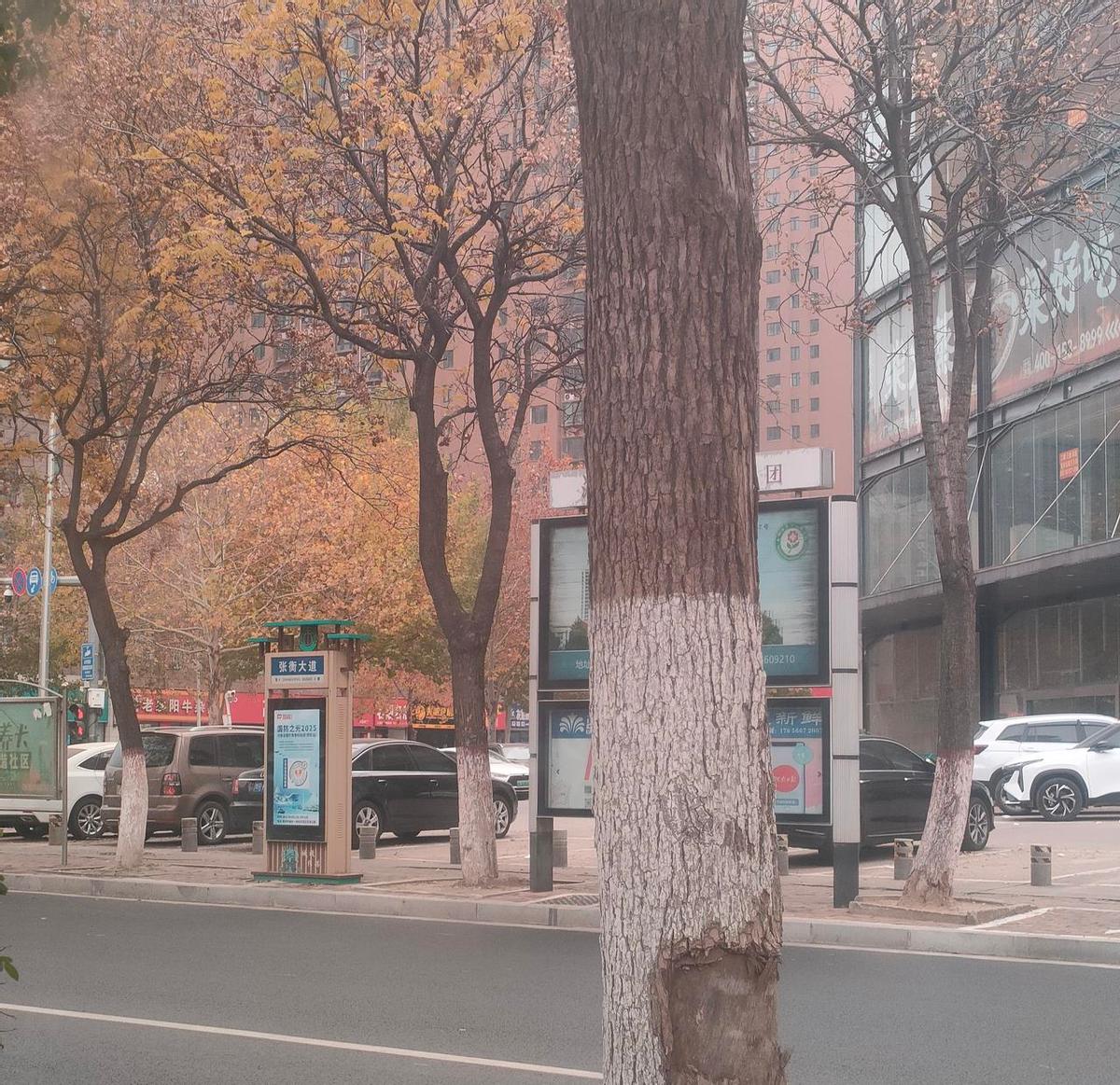 孩子烧到39度，急诊排了两小时，抽血没哭，医生只说：“这病得熬。”布洛芬退不