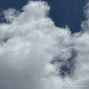 向善是一种文明，也是一种光明。善良之举，需要人人拥有，善良之歌，需要人人唱和。让
