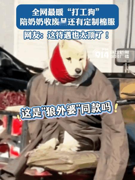 有一种冷叫奶奶觉得你冷，这话不仅适用于自家孩子，对家里的狗狗同样如此。