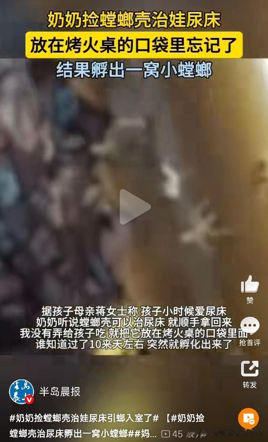 奶奶捡螳螂壳治娃尿床，结果“引螂入室”孵出一窝小生命！广西桂林的蒋女士最近