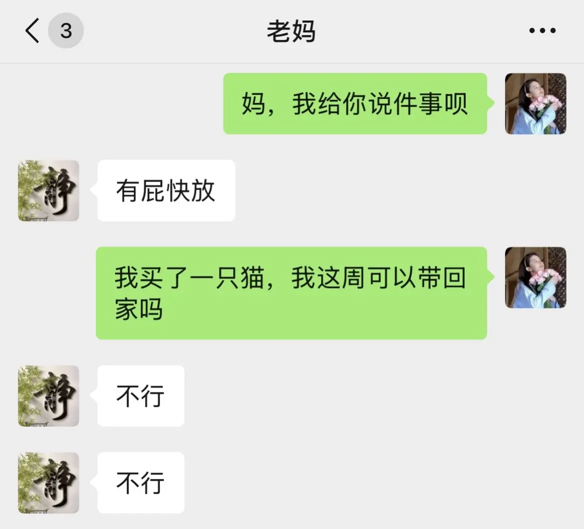 有点溺爱了吧...