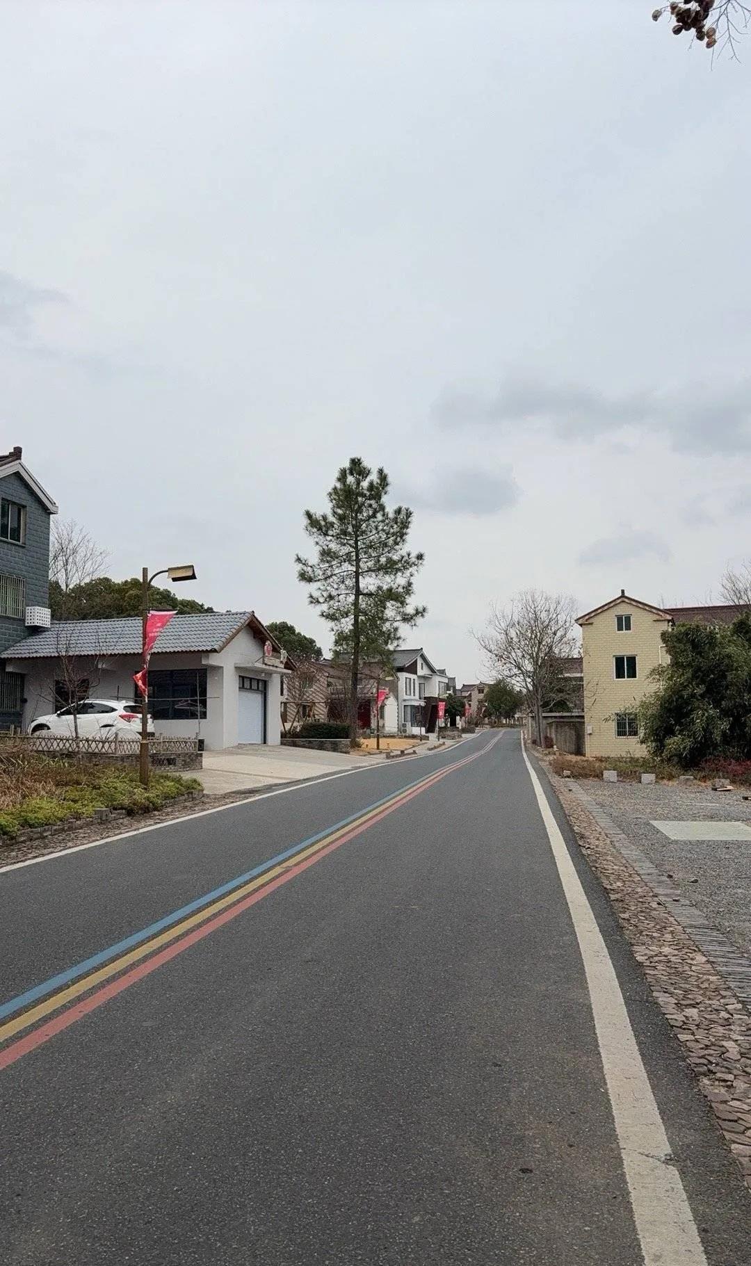 今日运势：乙巳年戊寅月己酉日2025.2.9日鼠：小吉平安顺利牛：整体