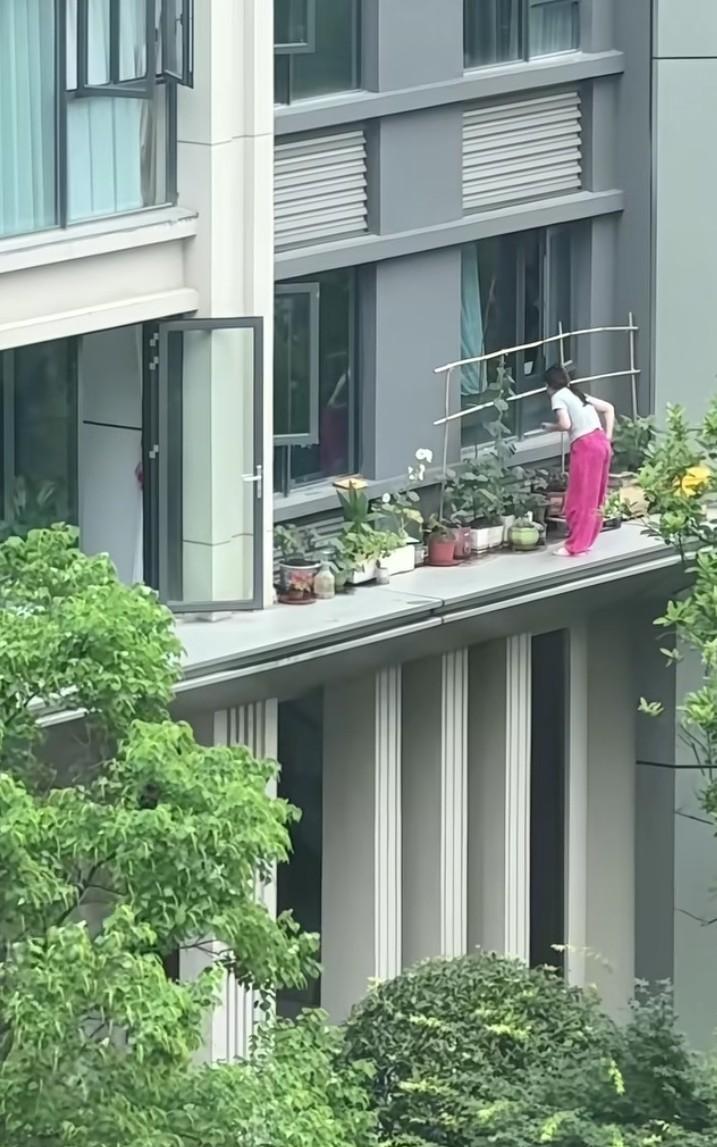 真是“人才”！一业主在二楼做了一个露台，种了很多植物，还搭了一个藤架，每天从窗户