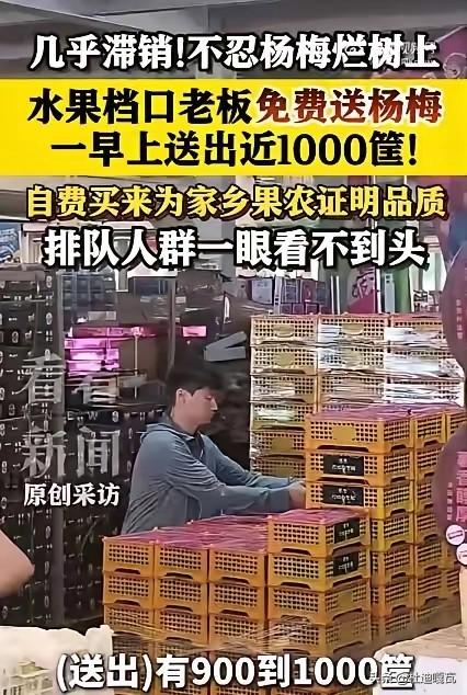 这个老板确实为福建杨梅的滞销趟出了一条出路，他自费采购了1000筐的杨梅，当然，