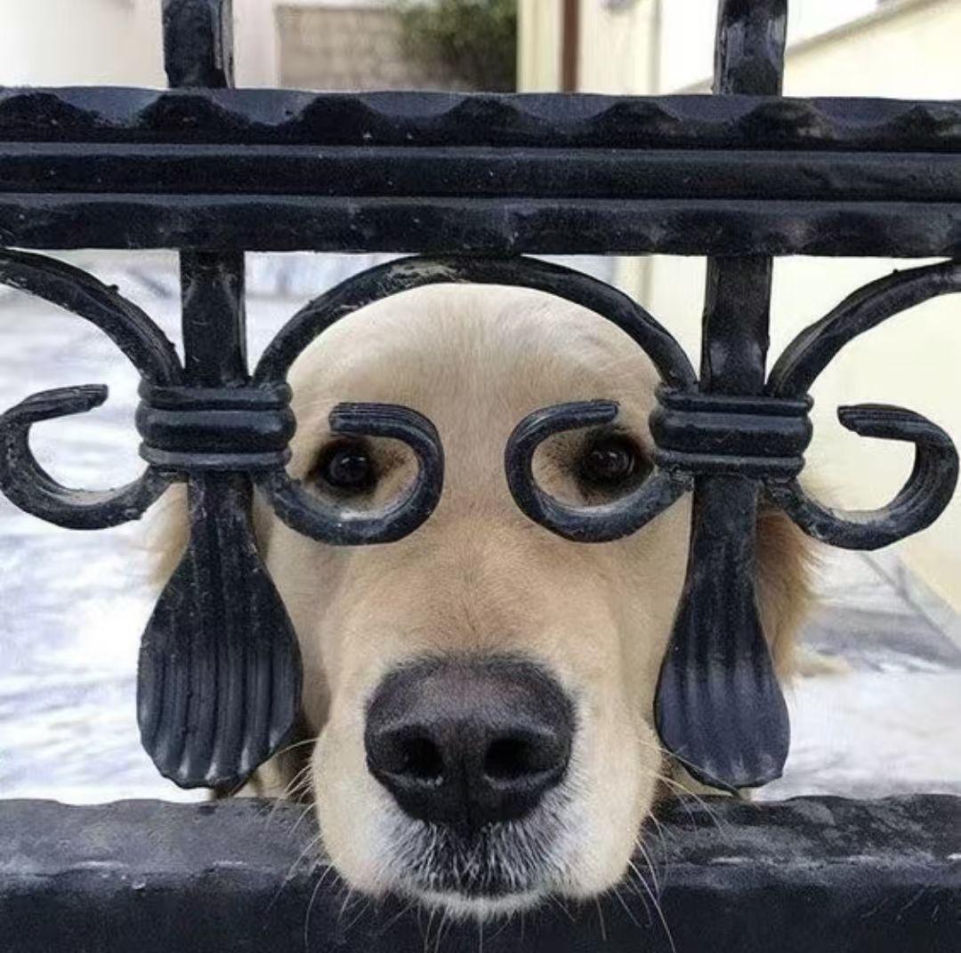 婆媳关系不好不是矛盾造成的！其实婆媳大战的根源是婆婆妈双标，比如说婆婆妈可以把自