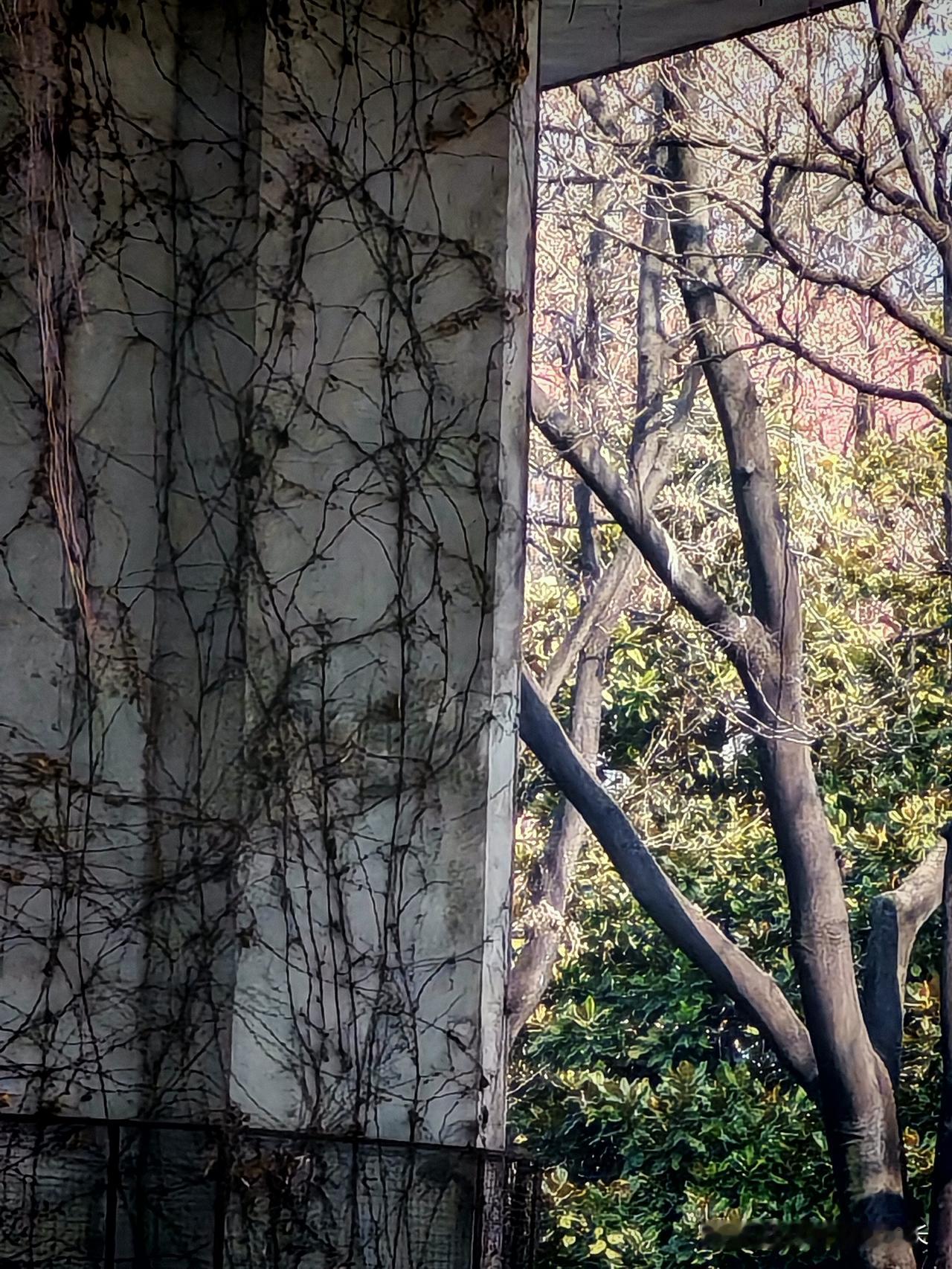 你敢信吗？80多岁老人看病，一上午连号都挂不上！上周带80多岁的老母亲去医