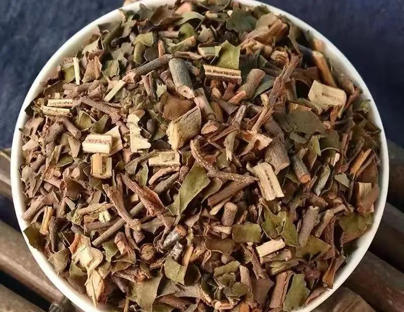 我用一味桑寄生，破了患者多年顽固高血压！这个小方子我用了数十年大家好我是中医心