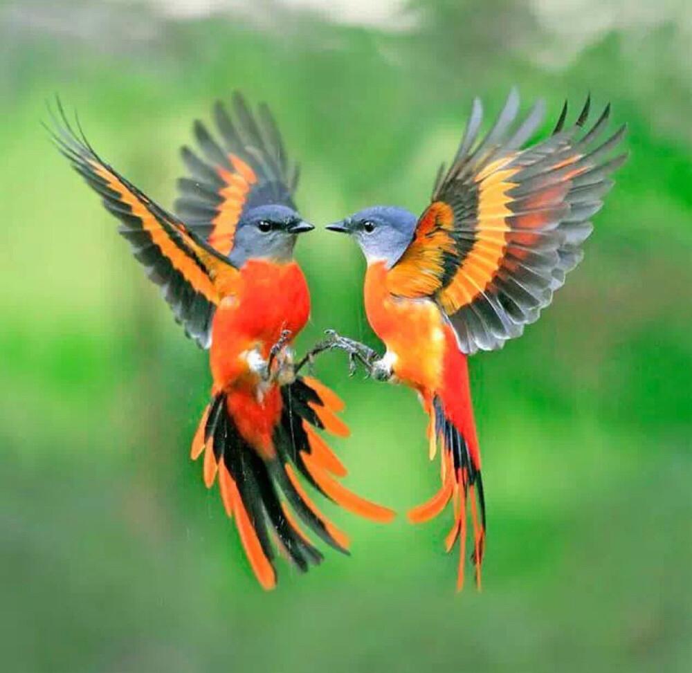 失望攒够了，心就冷了曾几何时，你是我世界里的光。我的喜怒哀乐，都想第一时间与