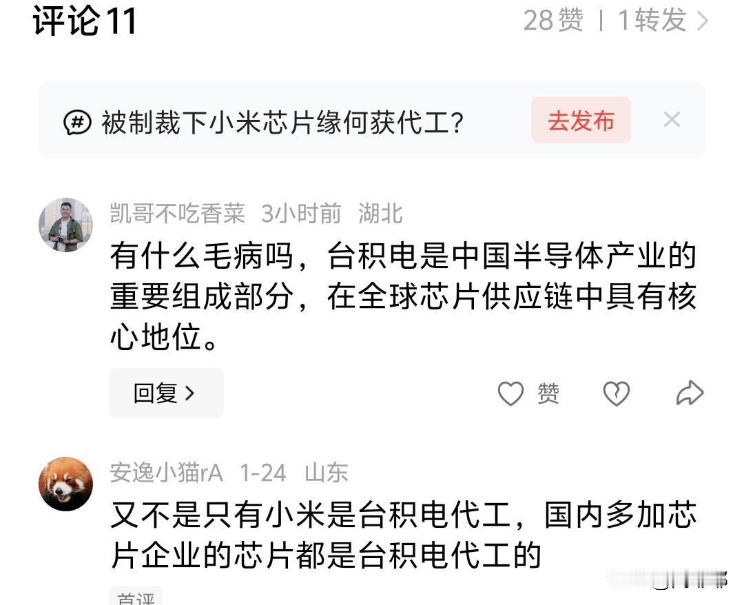 台积电是中国半导体产业重要组成部分？看到这样的评论我真想惊呆了！[笑着哭]