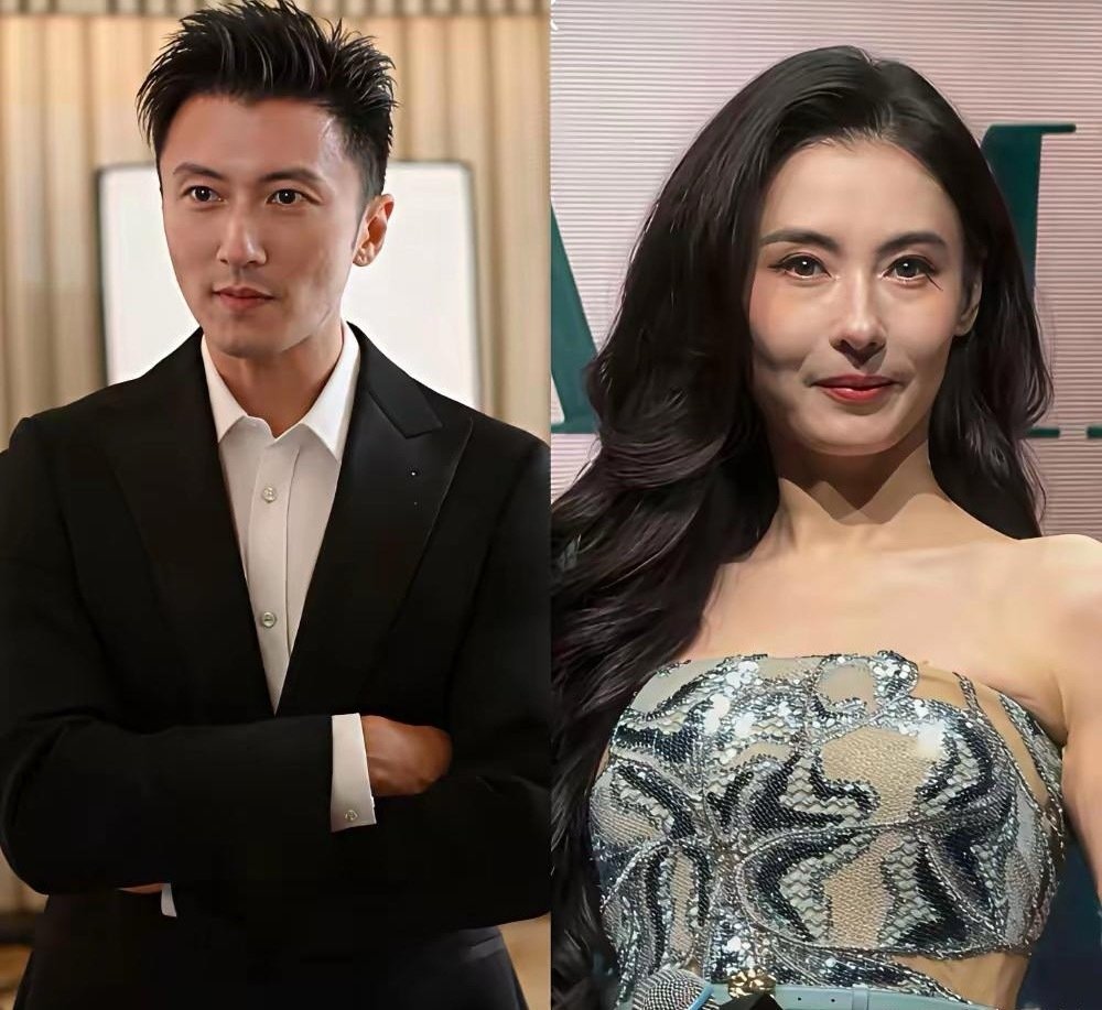 张柏芝果然是个狠人！白纸黑字12页遗嘱，没有一句是废话，老大得浅水湾豪宅，老二分