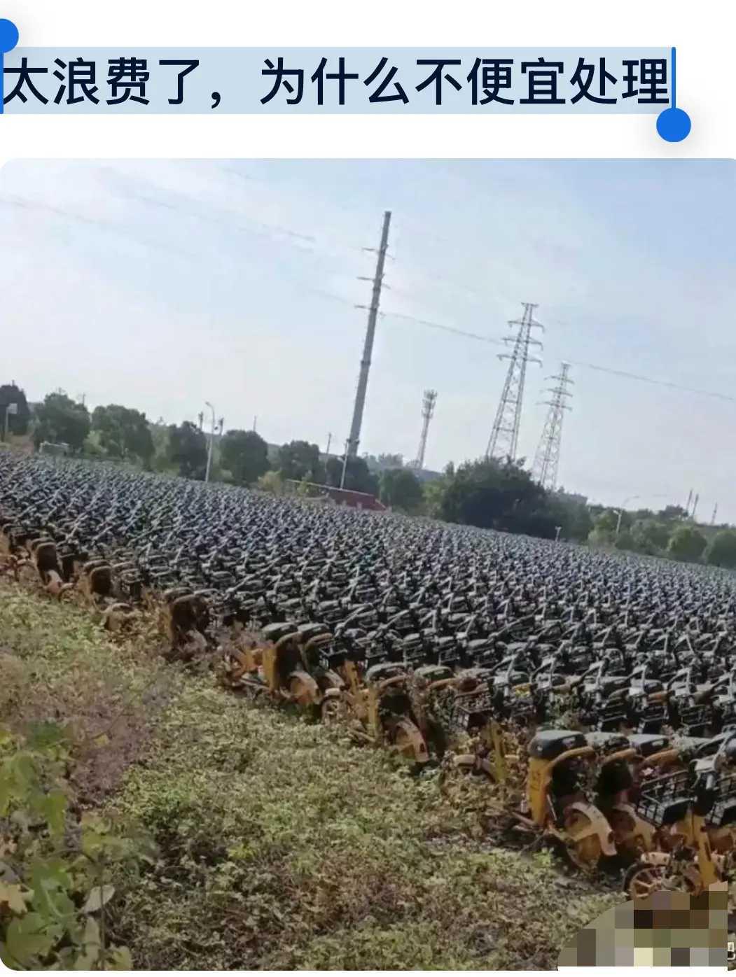 太浪费了，为什么不便宜处理