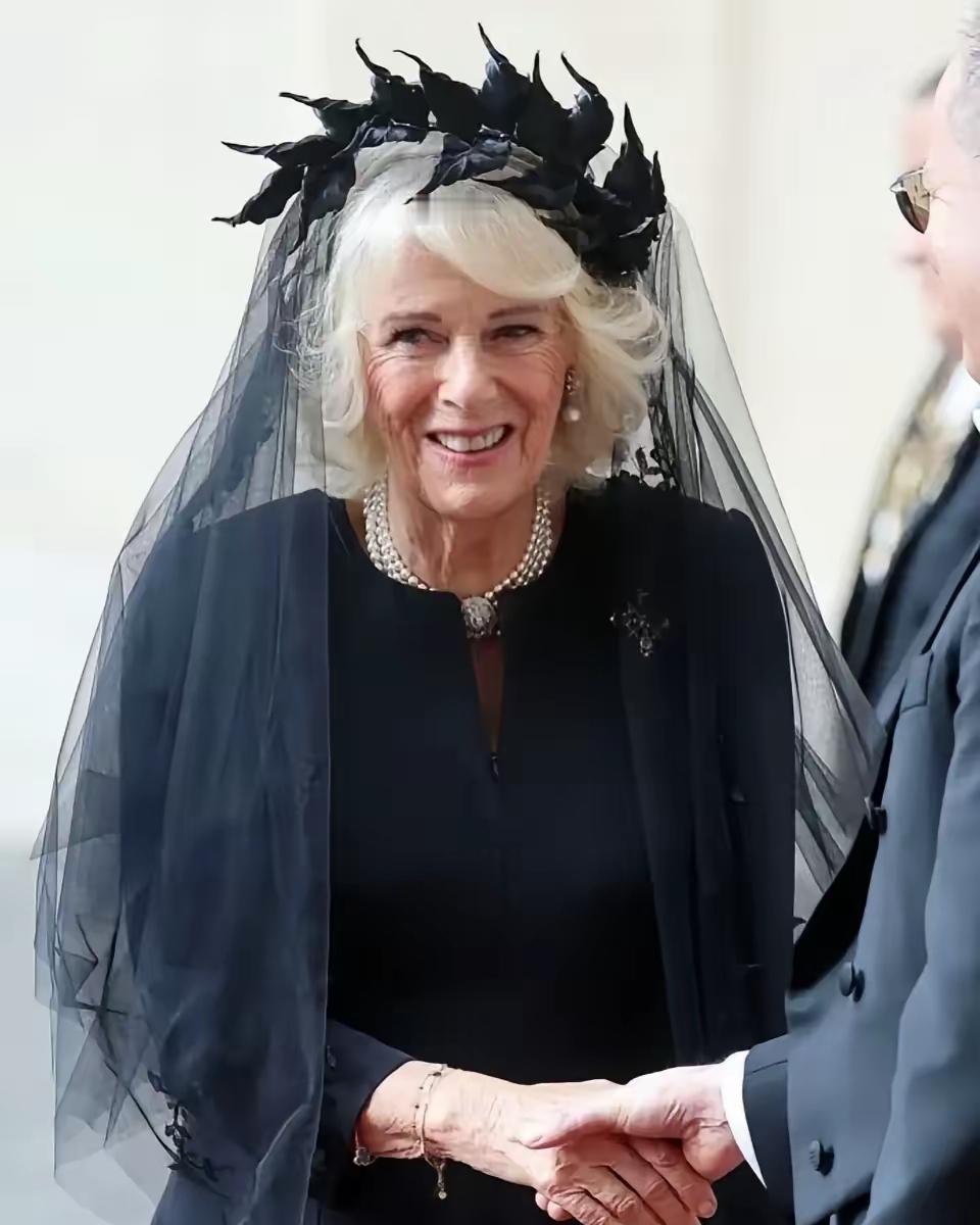 现在的卡米拉，怕也是认清了现实！毕竟步入古稀之年的她，没有了精力，也有点厌倦了