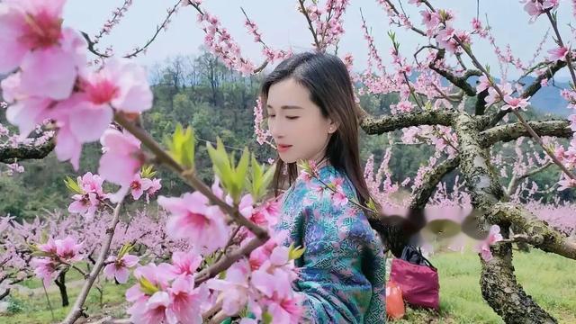 七律诗.《桃花美女入画来》三首