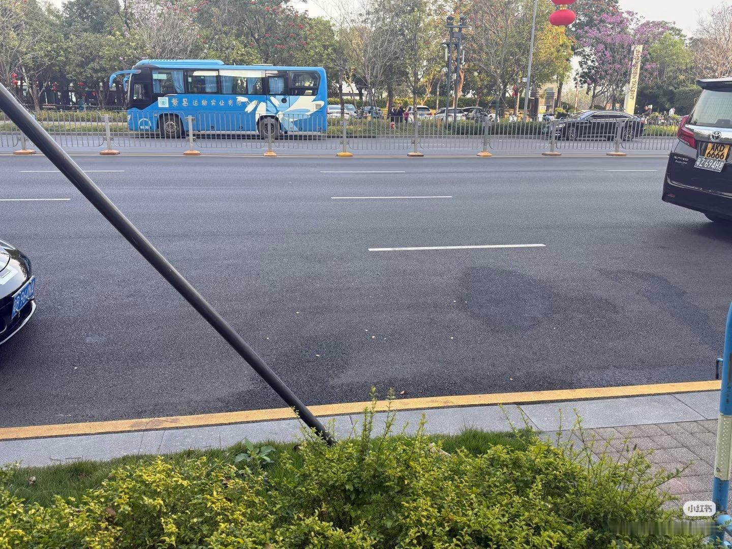 深圳，号称中国南方小孟买，为啥？因为遍地随地小便的网约车，这个帖子没有夸大，真实