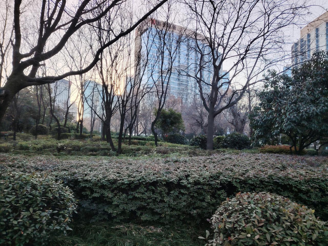 12岁学生服药自杀遗书曝光：因英语难且被嘲胖。此事件中老师被追责，老师深感委屈。