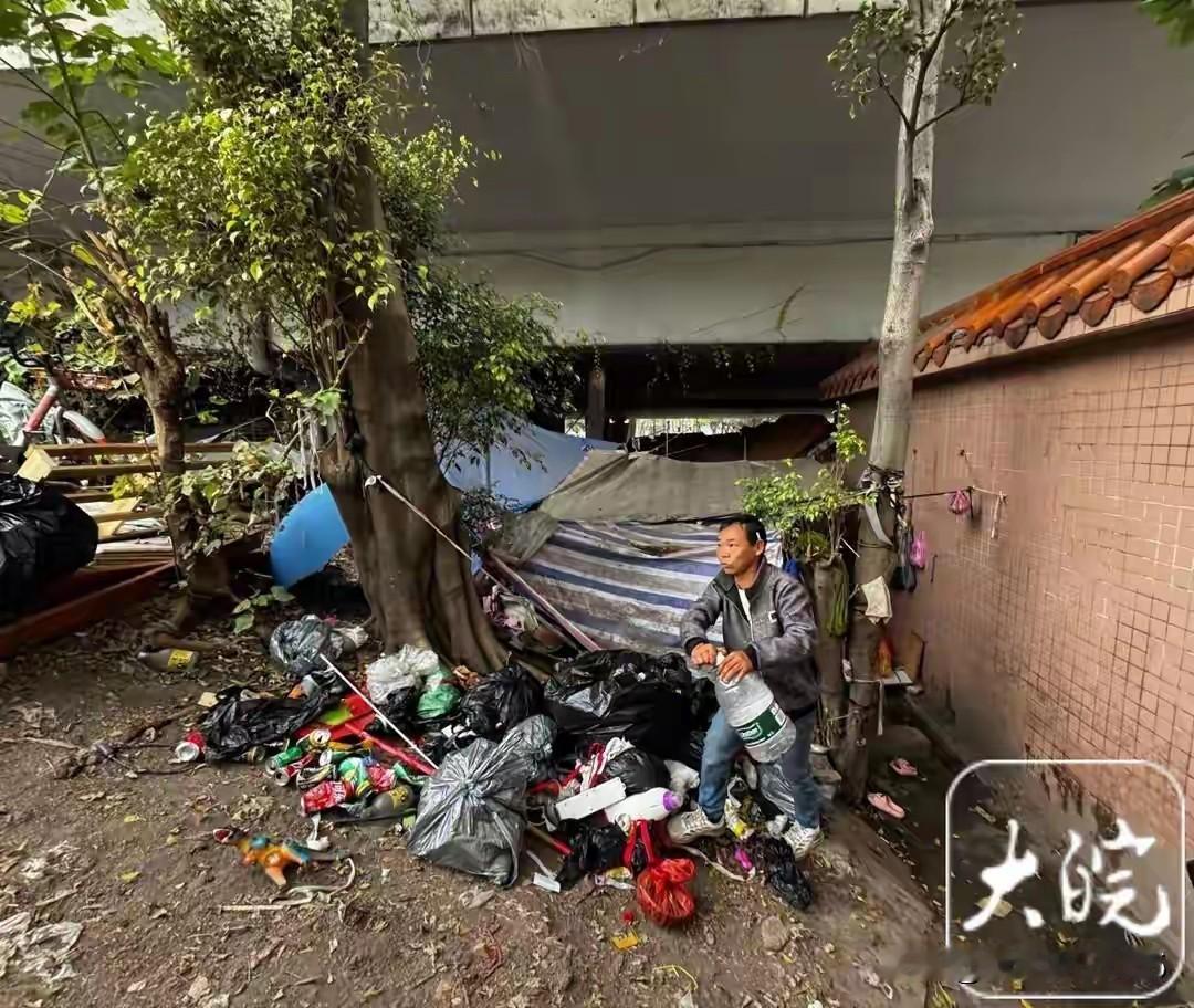 广州桥洞下的“家”：无证男子、病妻与幼童的生存孤岛。在广州这座繁华的南方商都