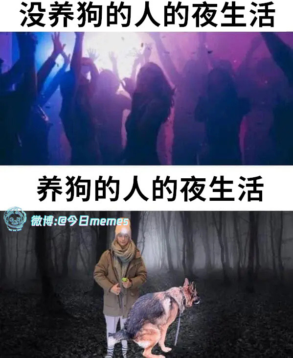 拉似一张弓（9gag）今日meme今日memes