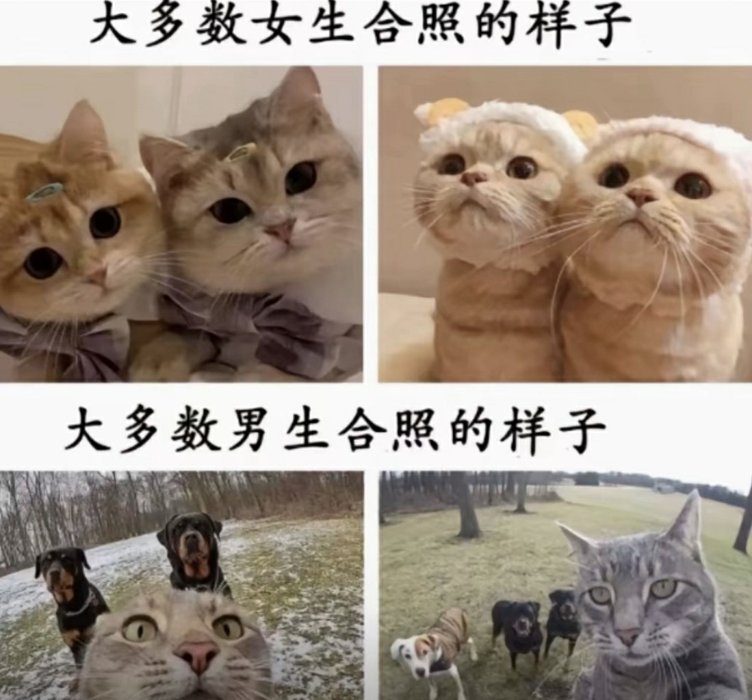 意义不一样，男生追求的是真实。