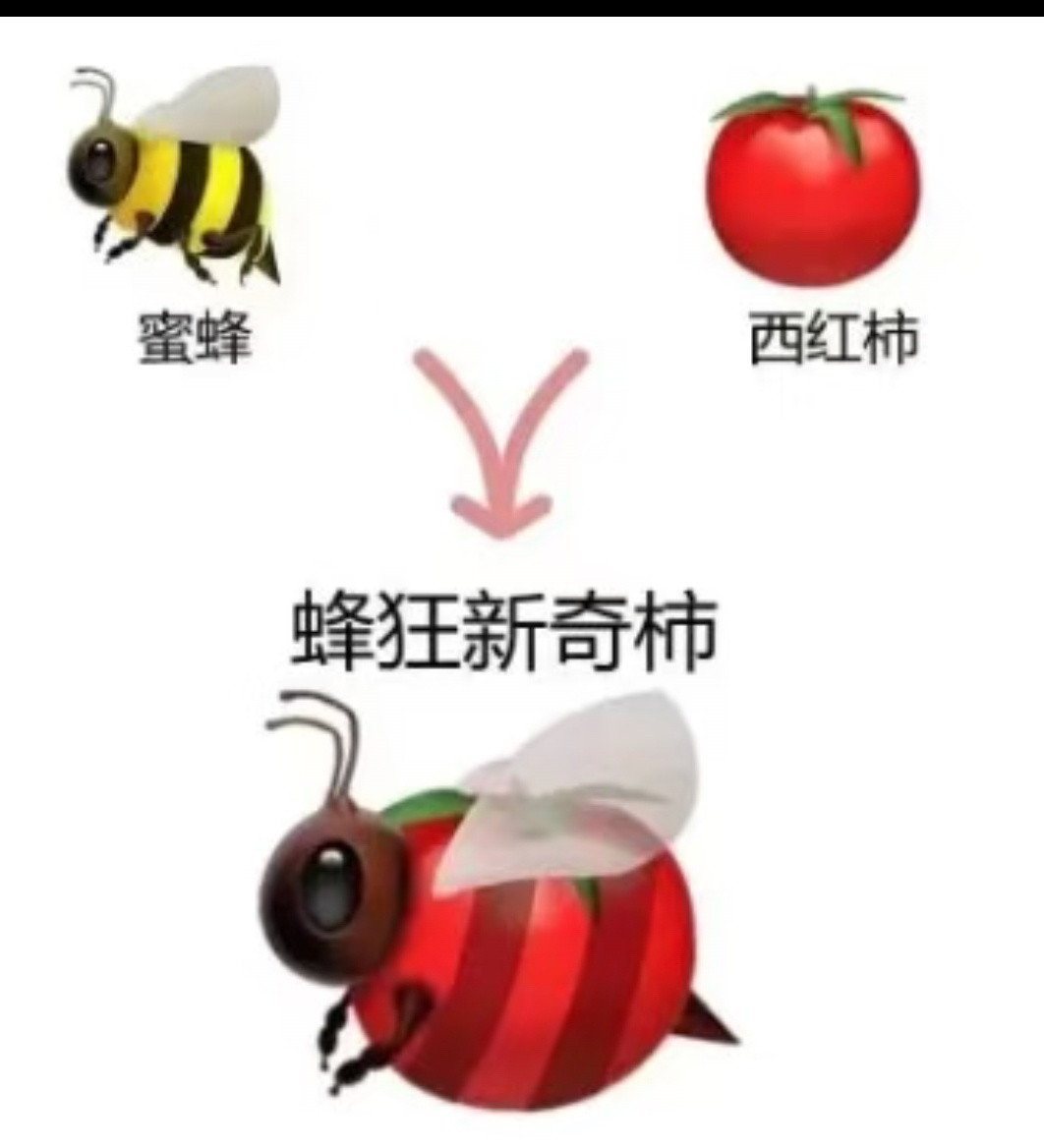 6466【网络meme】
