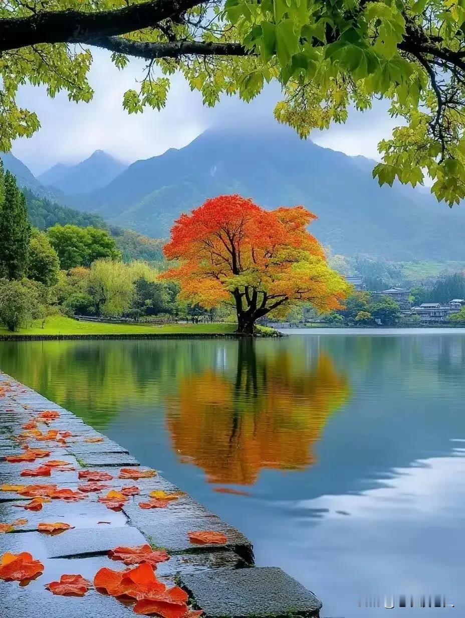 人到了七十岁应该有什么心态？人活到70岁以后，与六十岁以后的人的心态是不一样