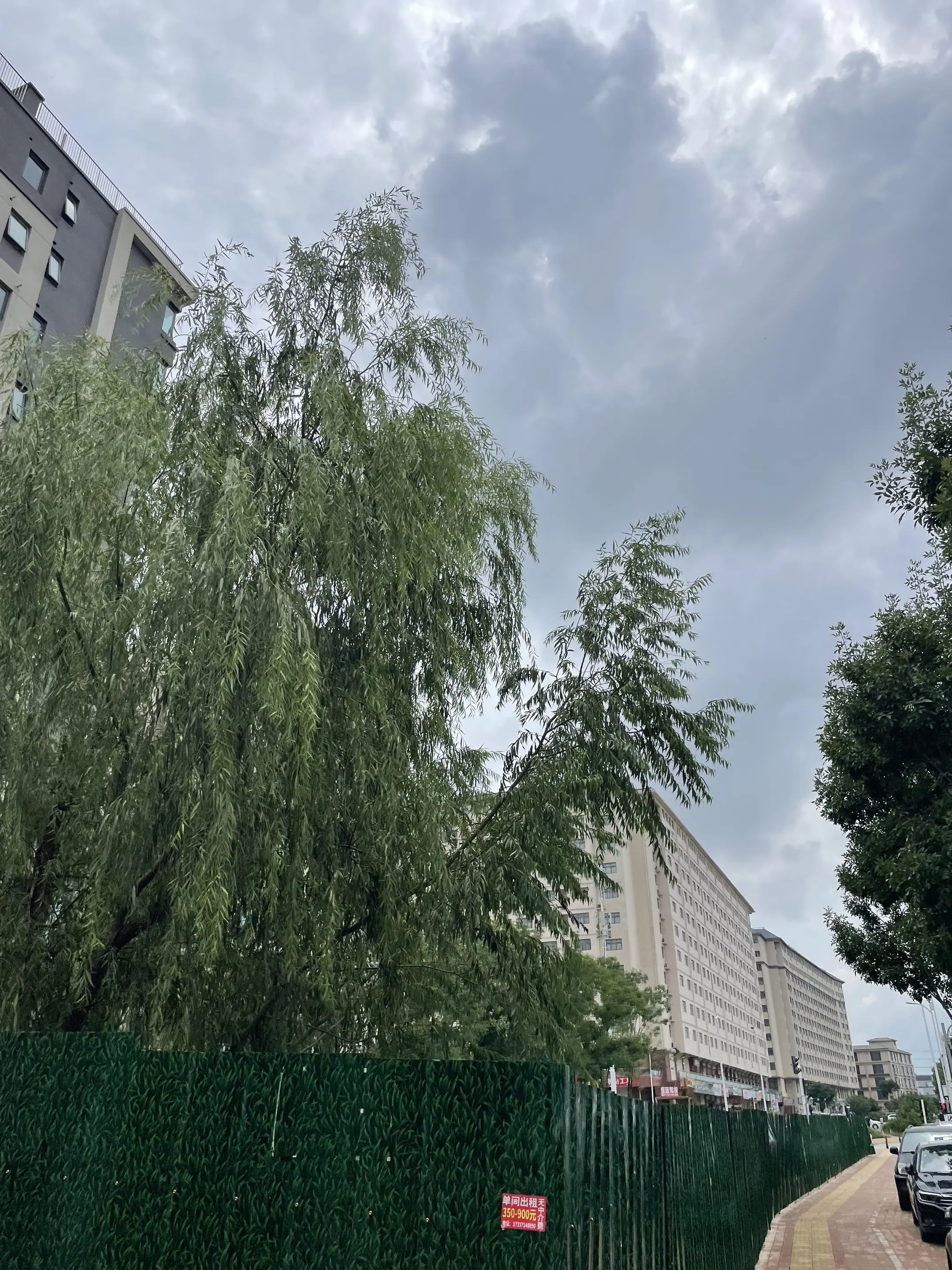 在《雍正王朝》里，八爷到底输在哪里？  这么说吧，老八一开始就已经输了...