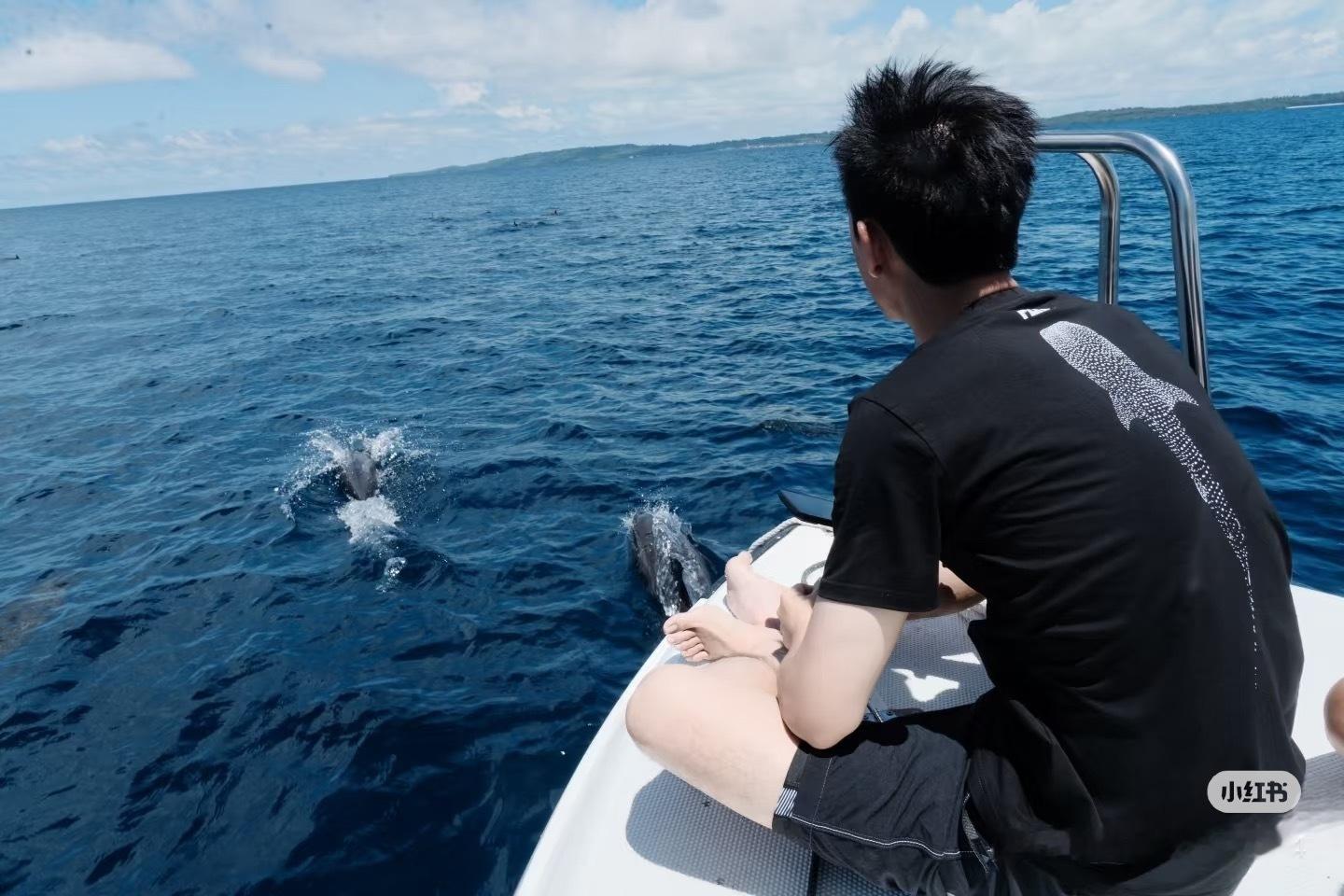 李现和小海龟互动上了李现记录小海龟放生李现给海豚拍出神图李现可以啊，很喜欢他，小