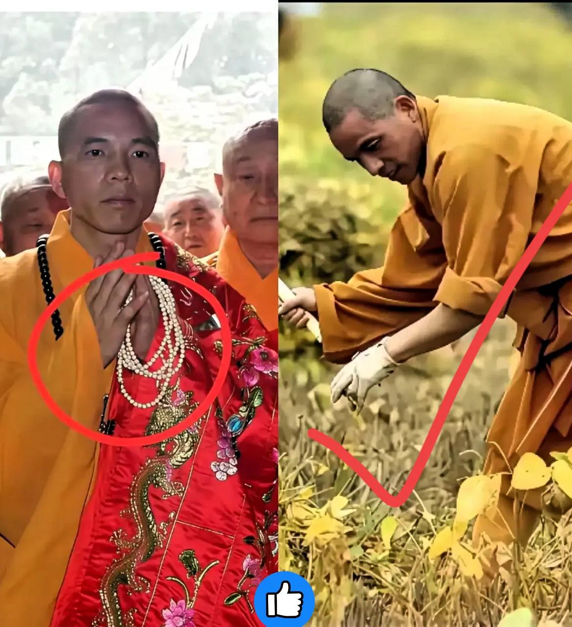 你们听说了吗？印乐法师这操作，据说不出三年，少林寺和尚能跑掉一半多！为啥呢？