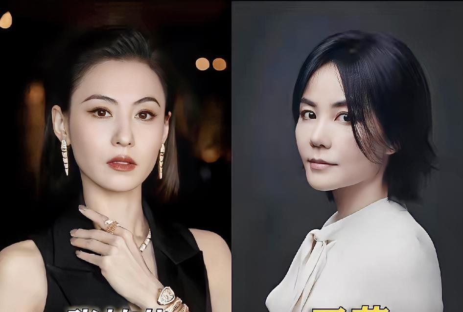 张柏芝和王菲，果然当妈的方式不一样，结果也差得远，你们更喜欢哪一位呢？