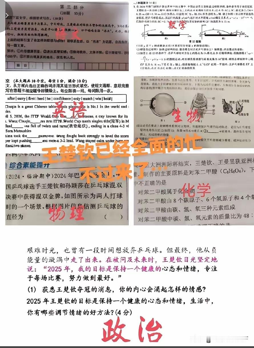 王楚钦现在是乒乓球界顶流世界冠军，他的赛场表现和个人故事，都快被命题老师当成“万