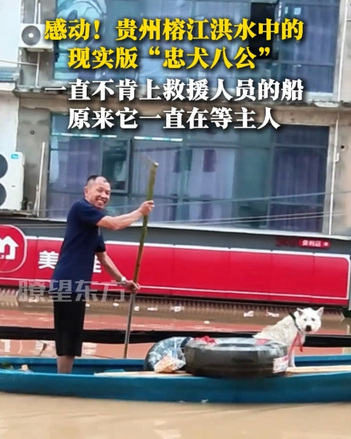 太感动了！贵州榕江，救援人员发现一只小狗被拴住，孤立无援站在洪水中。他们试图靠近