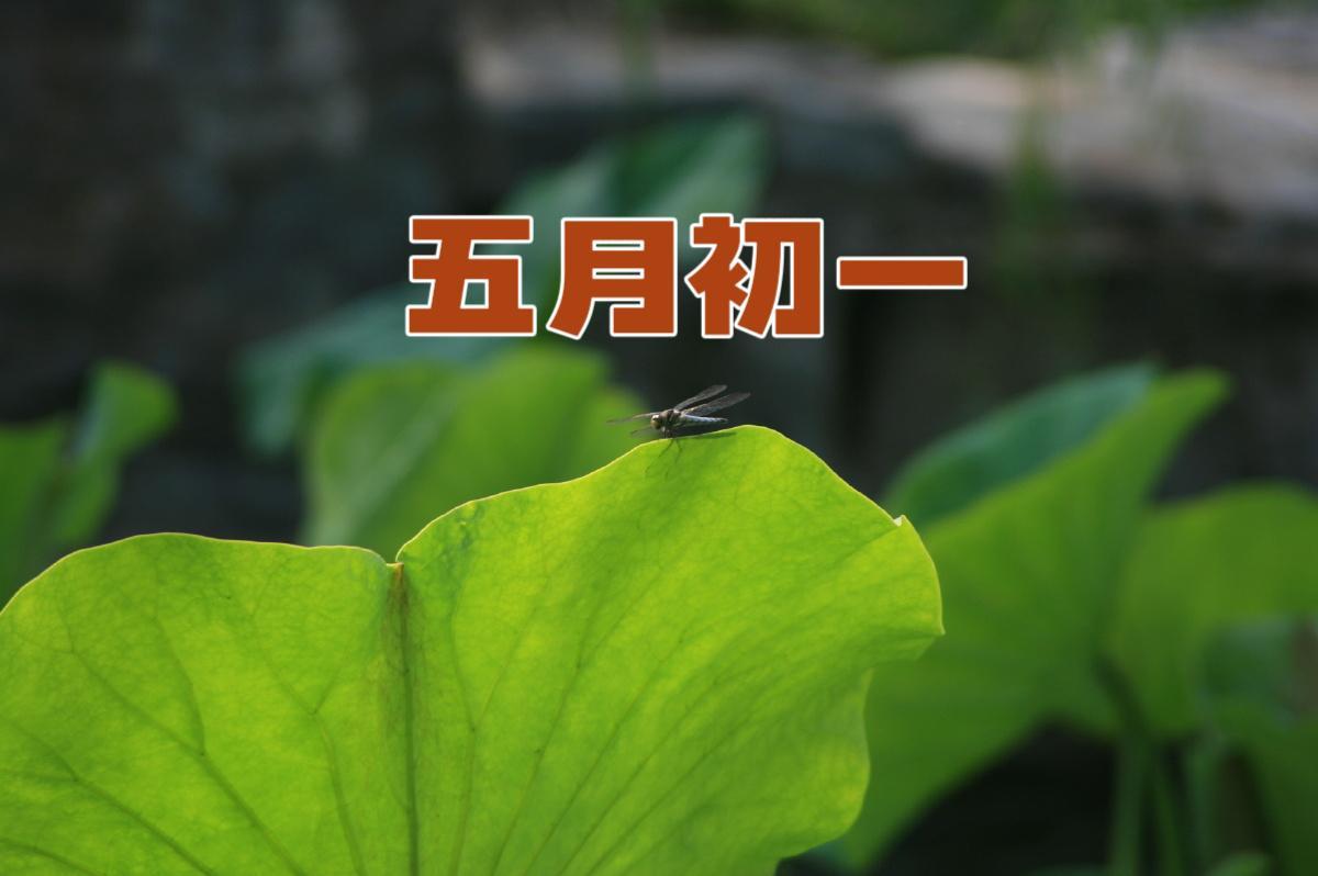 《明日五月初一，牢记“5样不上桌，福气不进门”，有钱没钱都要吃》农历五月初一