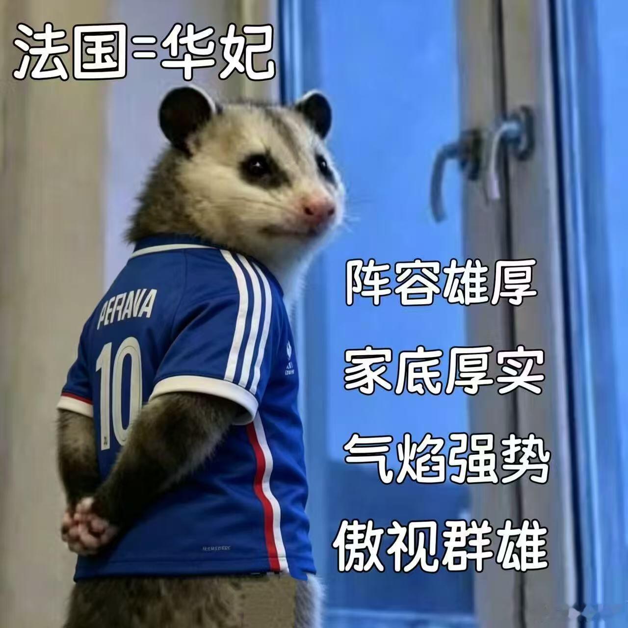 世界杯我可能懂的不多，那甄嬛传我都看了多少遍了。早这样说我不就知道了嘛！围观世界
