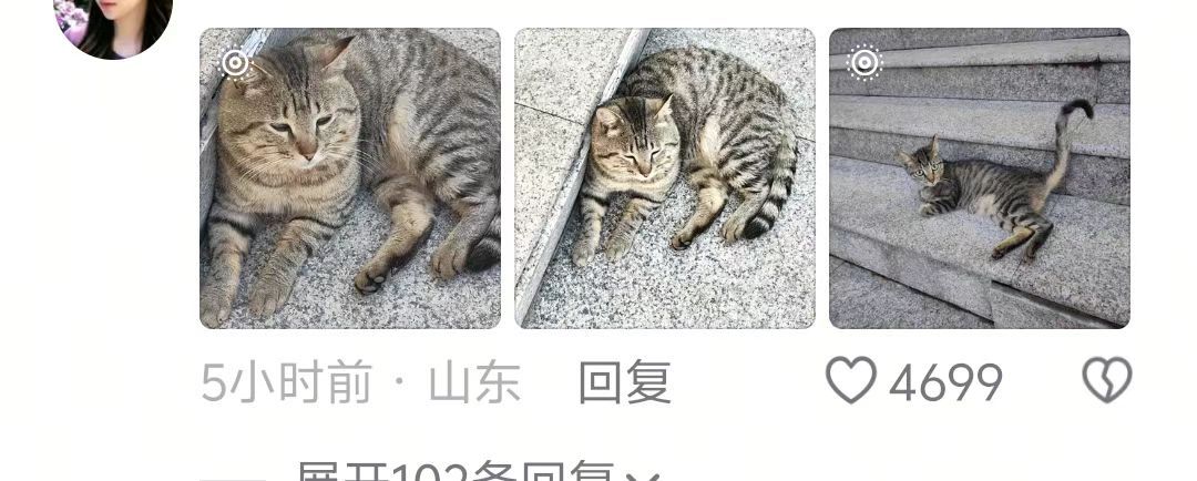 全校唯一暑假减肥成功之人...