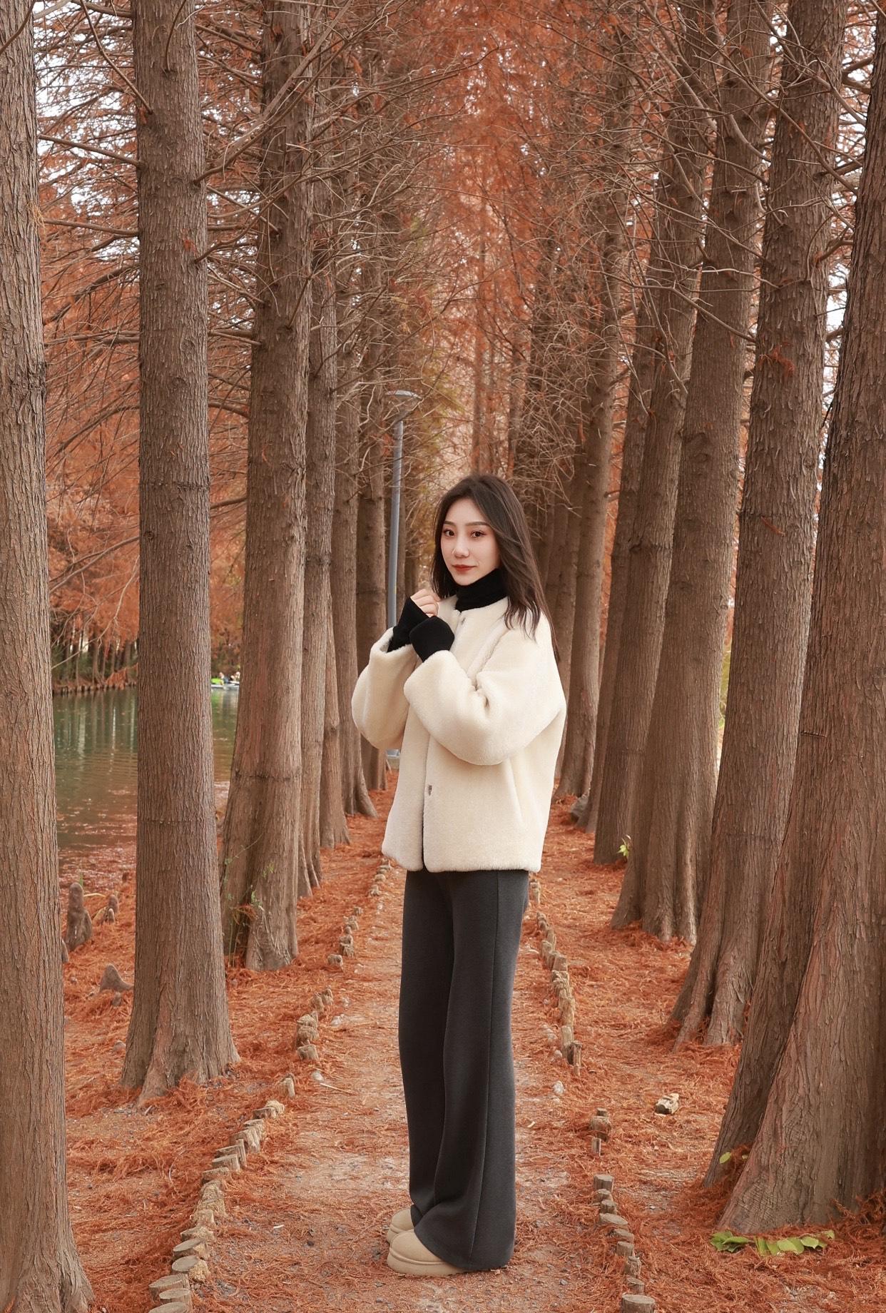 秋日漫步，树影婆娑，湖畔静思，岁月静好。