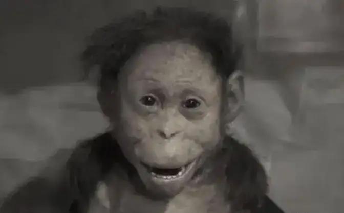 🌞1912年，沈阳药店老板王丙兆去闹市看杂耍表演。戏班里的猴子正表演各种人