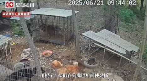 “必须严惩！”6月21日，河南周口，一处几乎没人来的荒山上，女子为了不扰民选择在
