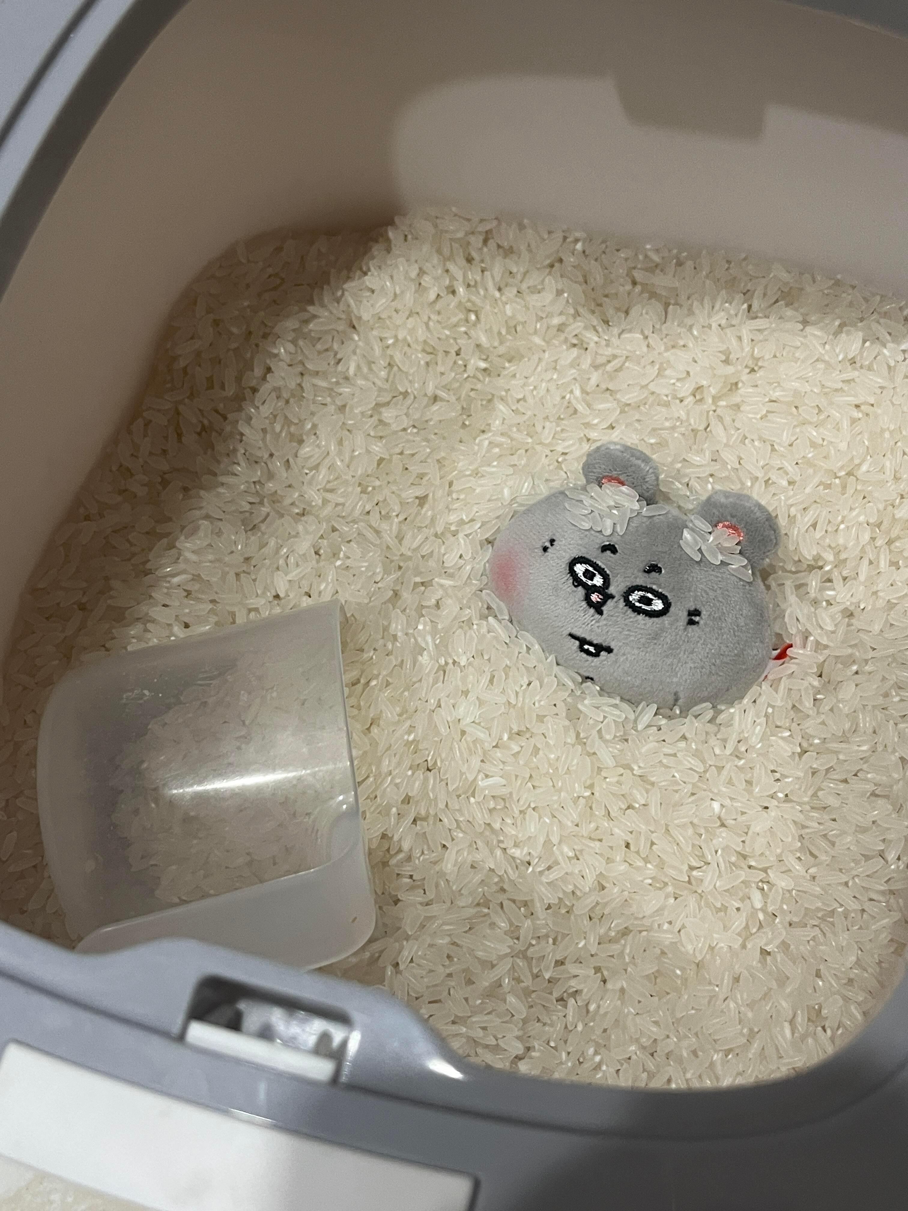 米缸里进老鼠了被我逮到了吧